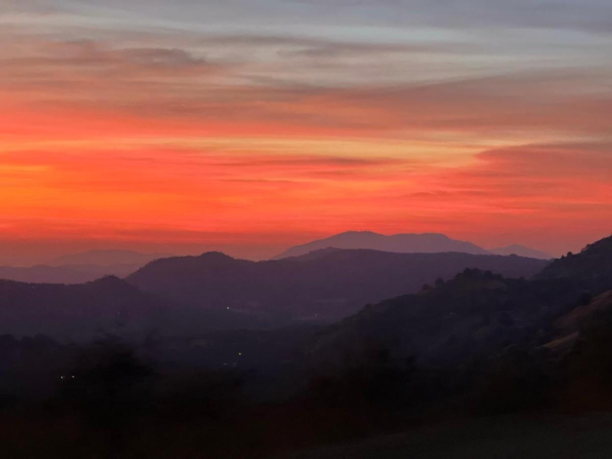 The Sequoia Guesthouse Miramonte Dış mekan fotoğraf